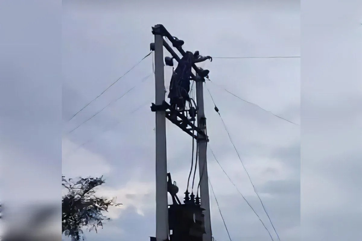 alwar reni bhuda woman climbs