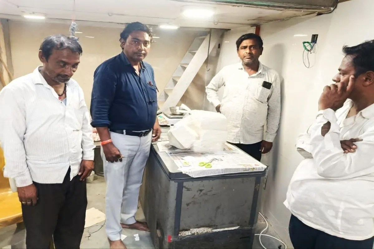 analog paneer