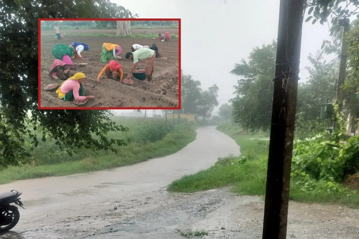 alwar rain