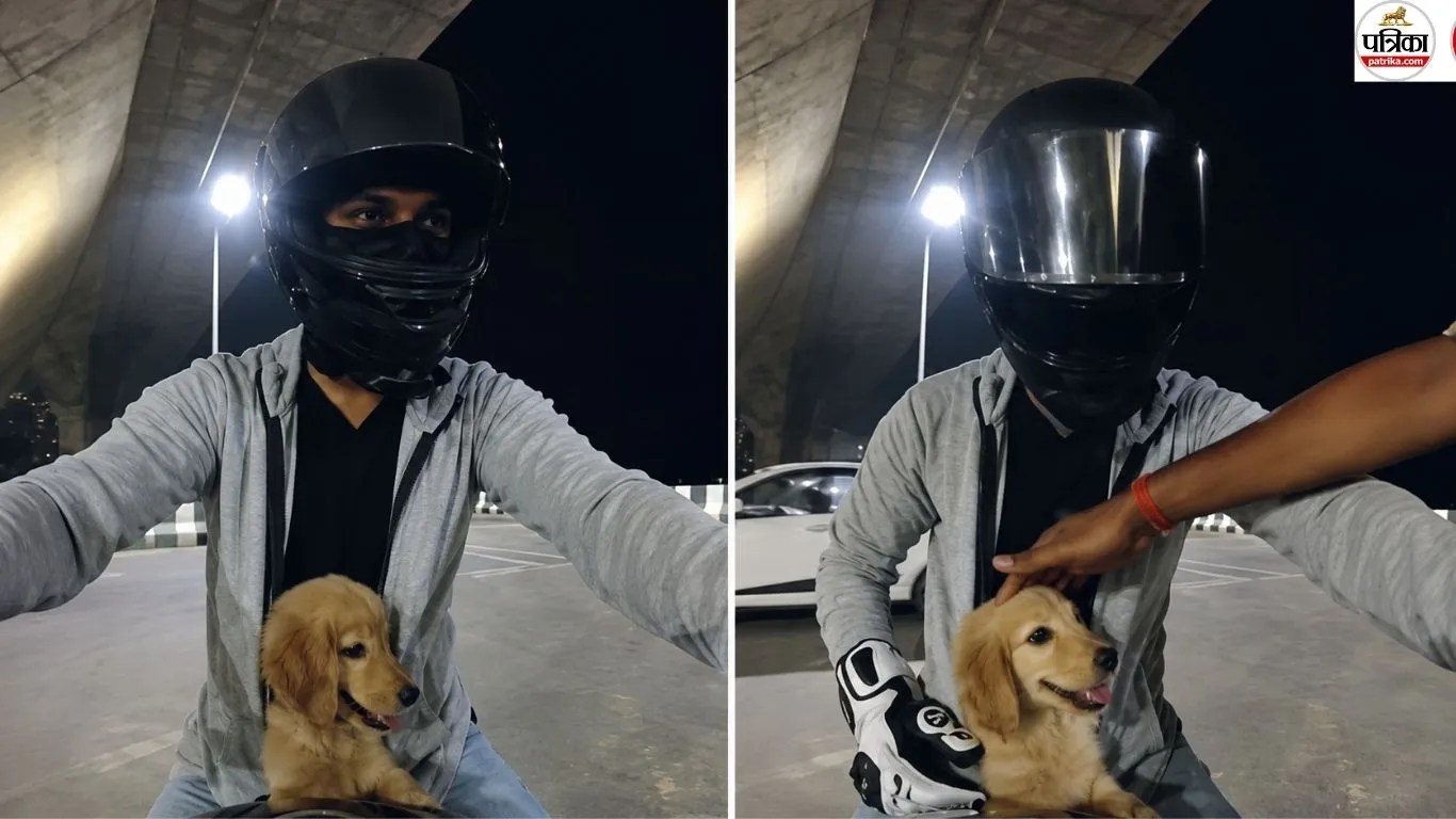 puppy bike rider viral video