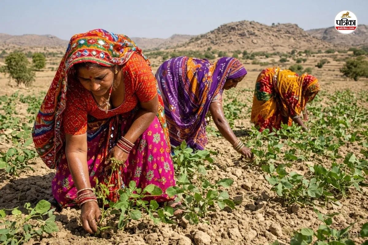Only 10 percentage women in rajasthan own land pathetic situation