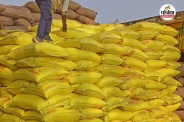 rajasthan farmers news
