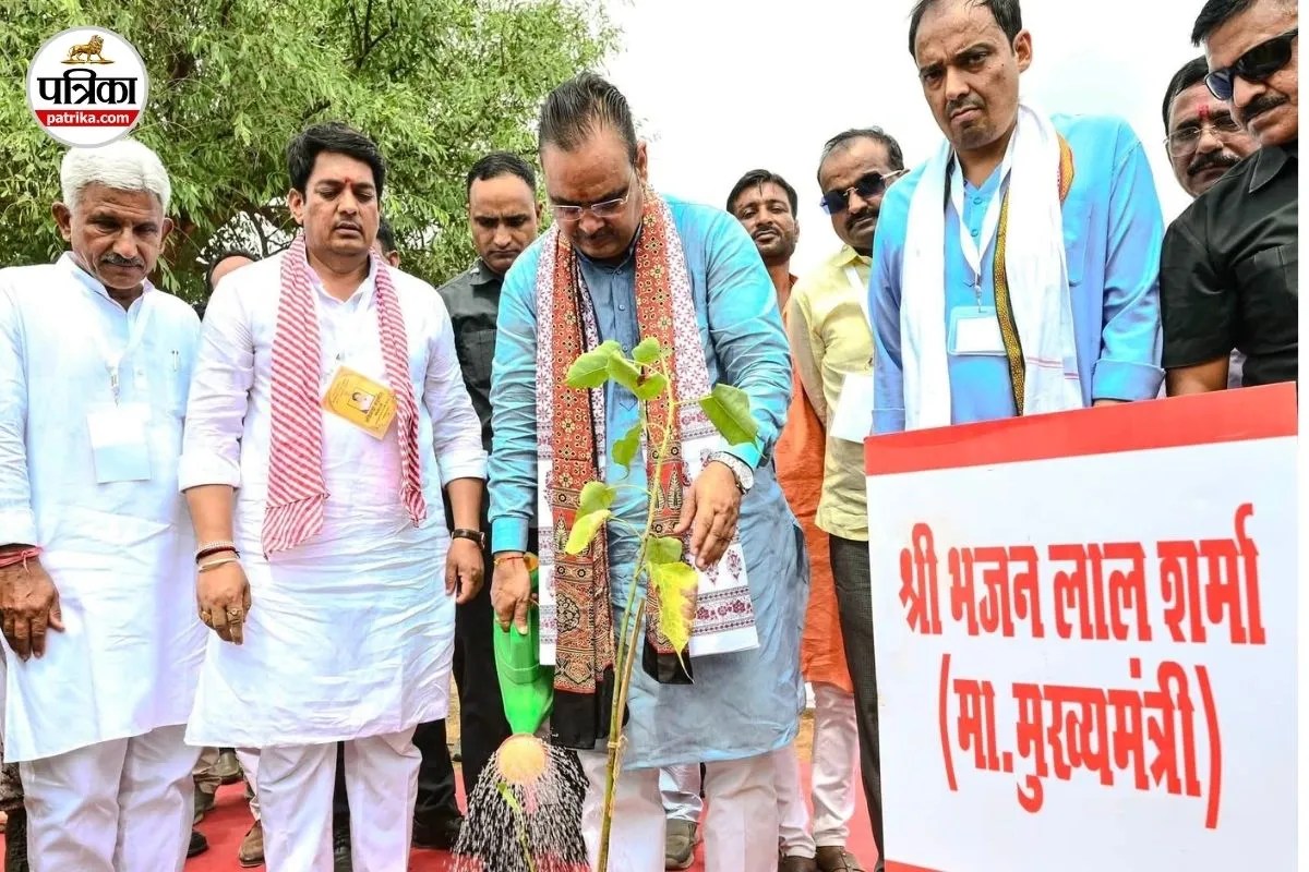 rajasthan tree outside forest policy bhajan lal cabinet green cover 2026