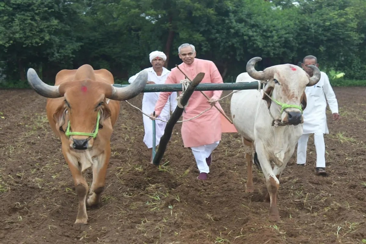 Governor ploughs field in Anand's Boriavi village; urges farmers to adopt natural farming at agricultural seminar