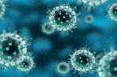 new variant of swine flu active in bhopal