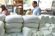 Analog Paneer Supply