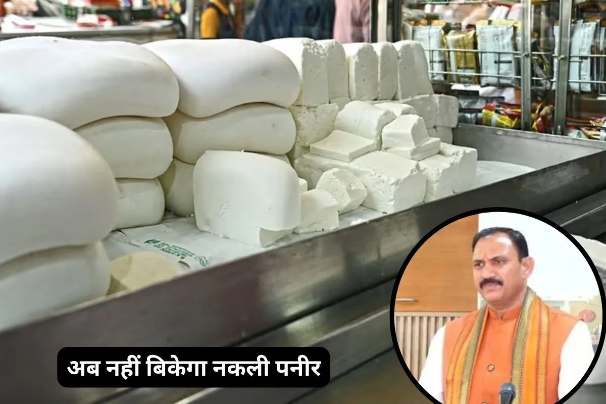 Fake Paneer Ban