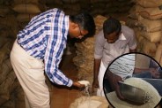 CG Ration Rice Scam