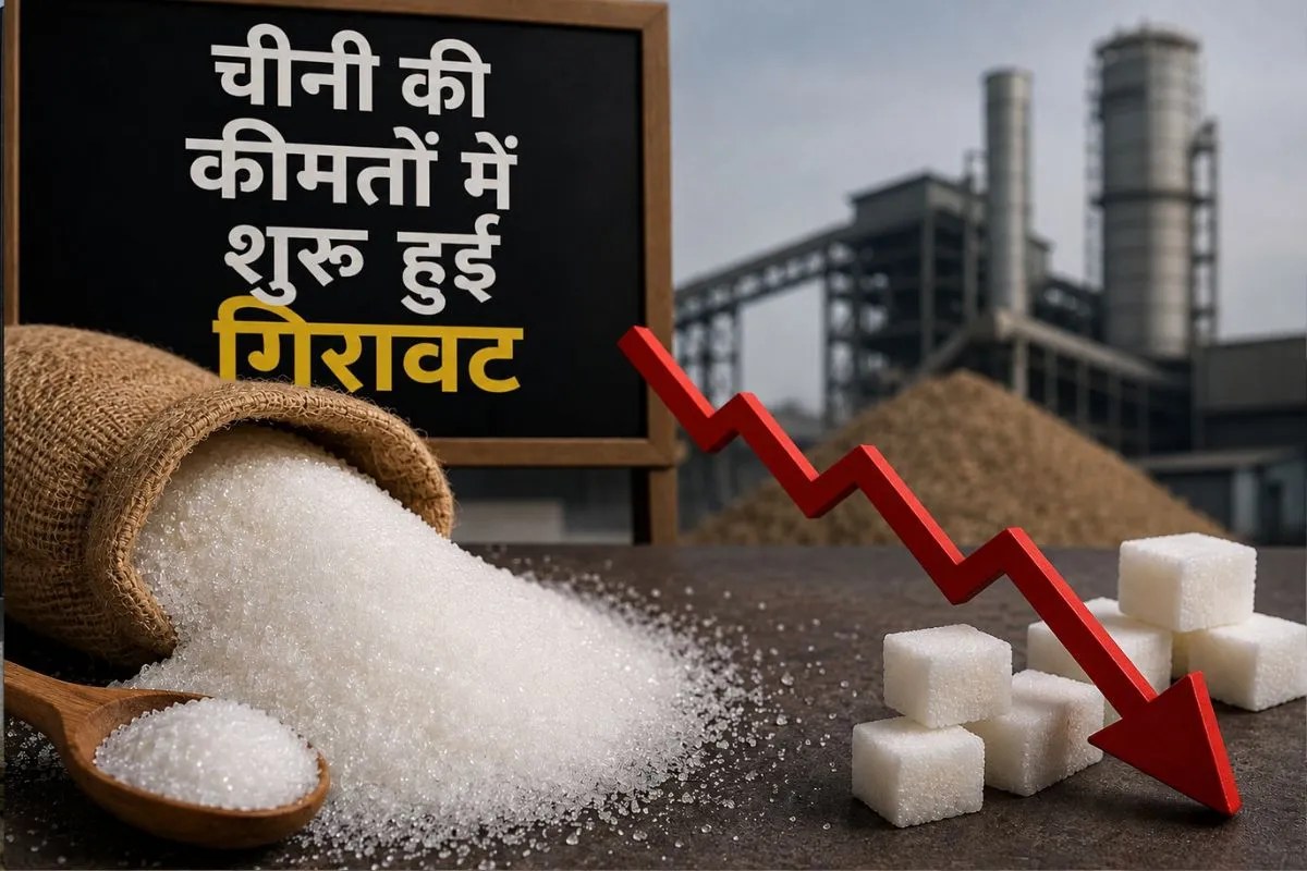 sugar price in delhi
