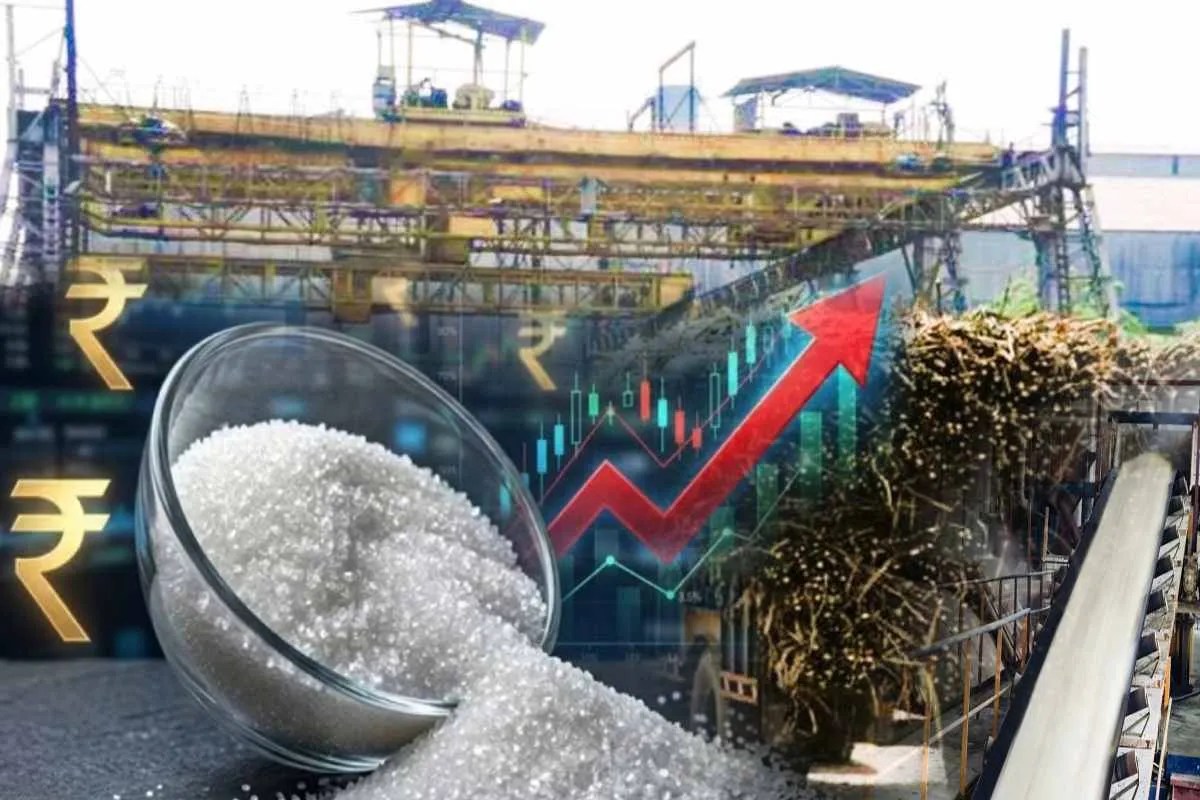 Sugar Price Today
