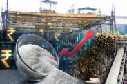 Sugar Price Today