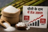 Sugar Price Today