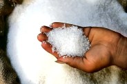 Sugar Price Drop