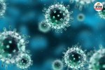 Swine Flu Cases