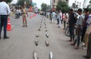 ratlam news