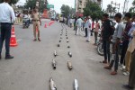ratlam news