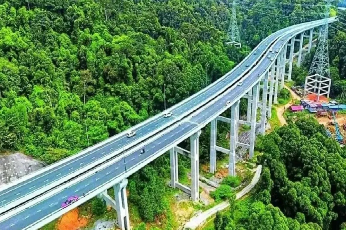 sariska elevated road