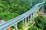 sariska elevated road