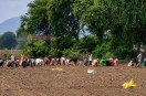 alwar onion farming