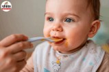 Baby Food, Baby Feeding