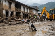 Trishuli Bazaar, Nepal Flood, Loyal Dog