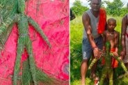kush grass effigy funeral, garud puran antim sanskar