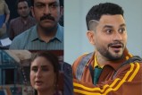 Daayra Vs Vibe Box Office Collection
