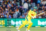 Alex Carey half century