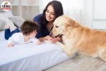Pet Dog For Kids, Dog Safety For Children