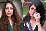 Arshi Khan Bigg Boss
