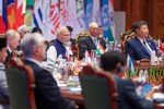BRICS Indian Diplomacy