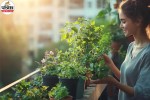 Balcony Cleaning Tips, Balcony Cleaning Ideas