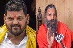 fake ghee statement