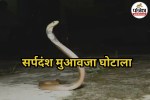 Snake Bite Compensation Scam