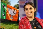 BJP State Incharge