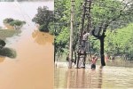 Shivnath River Flood