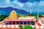 Chhattisgarh News