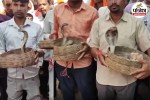 Snake Procession