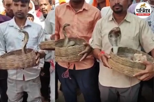 Snake Procession