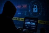 Cyber Fraud