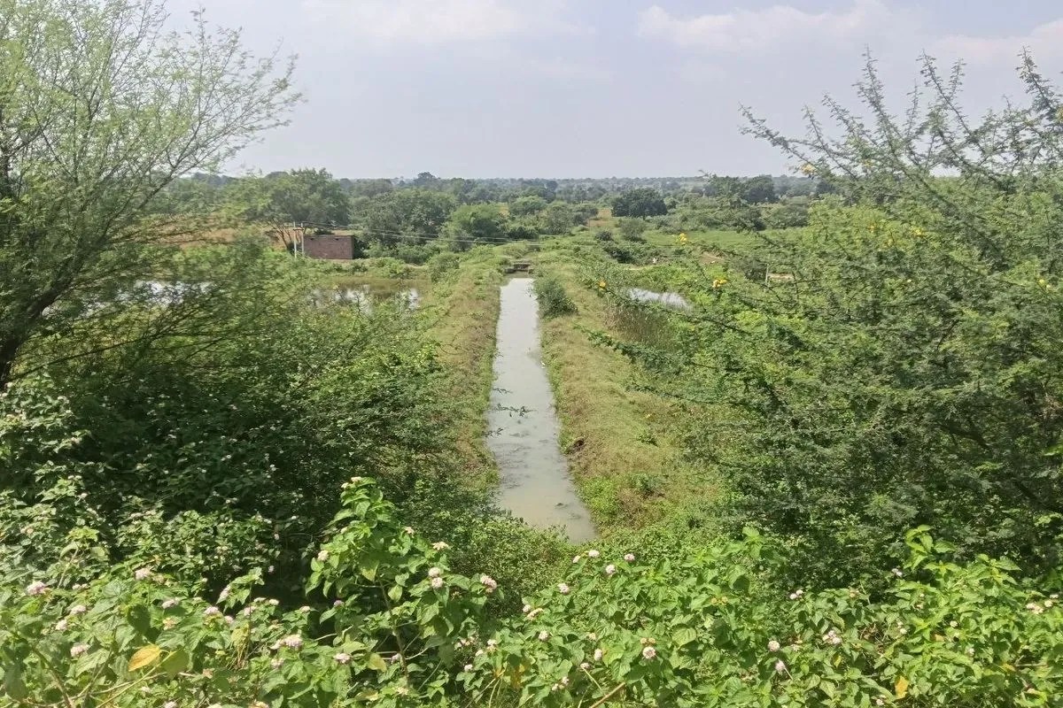 Dairy Triveni Dam, Dholawad Dam news ratlam