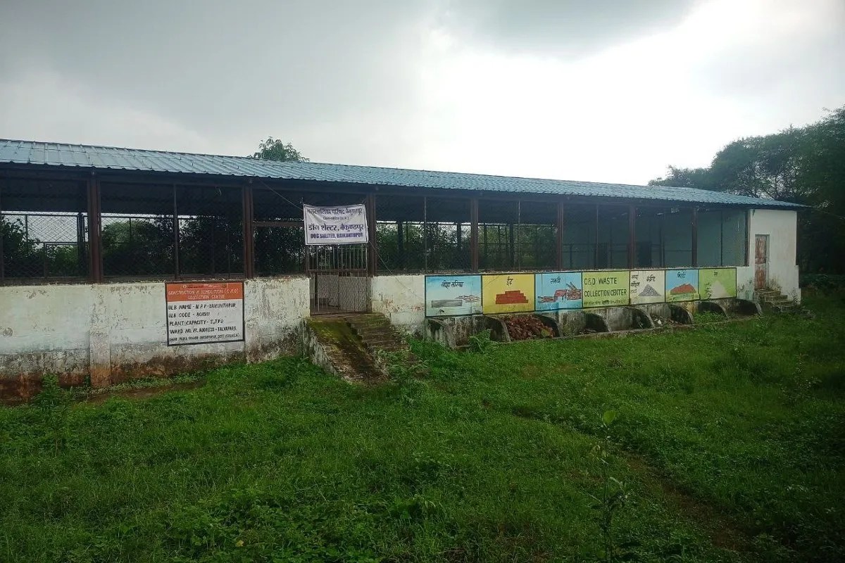 Dog shelter in Koria