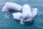 Migrant Boat Accident
