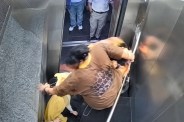 Ghaziabad News, Lift Dispute Windsor Paradise Society, Pet Dog Lift Dispute, Viral Video