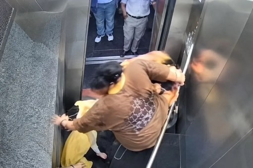Ghaziabad News, Lift Dispute Windsor Paradise Society, Pet Dog Lift Dispute, Viral Video