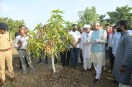 To keep the earth vibrant, we must turn towards natural farming: Governor
