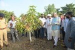 To keep the earth vibrant, we must turn towards natural farming: Governor