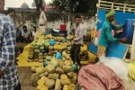 MCB police caught 4.59 crore hemp