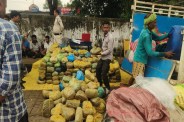 MCB police caught 4.59 crore hemp