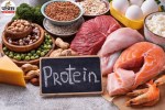 High Protein Diet, Protein Intake